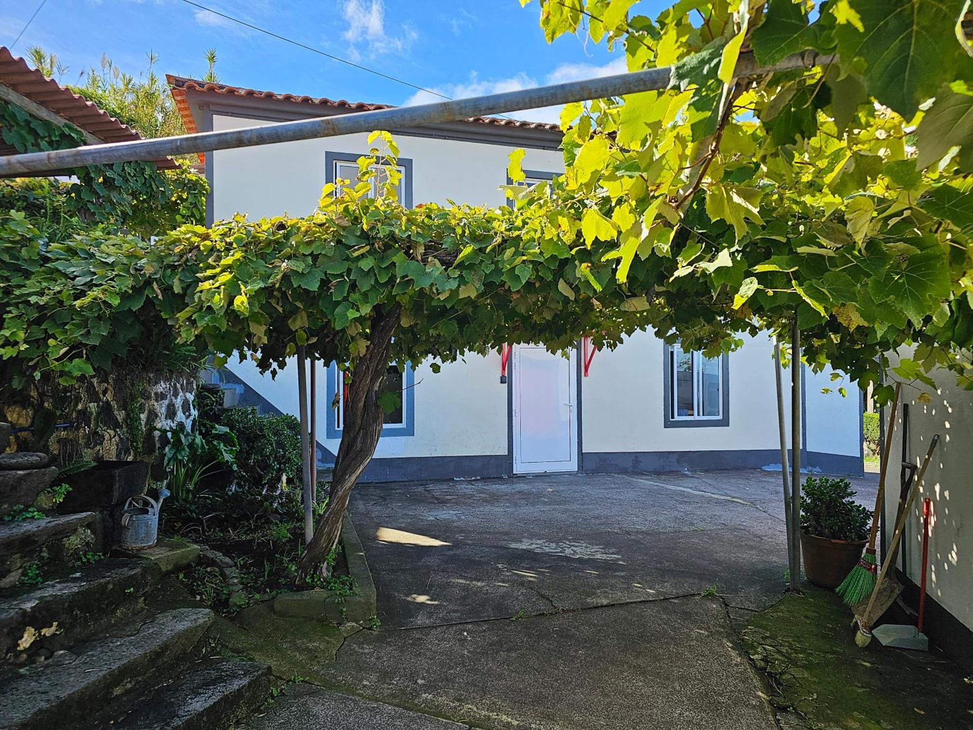 Casa Anjos Holiday Cottages Cedros Luaran gambar