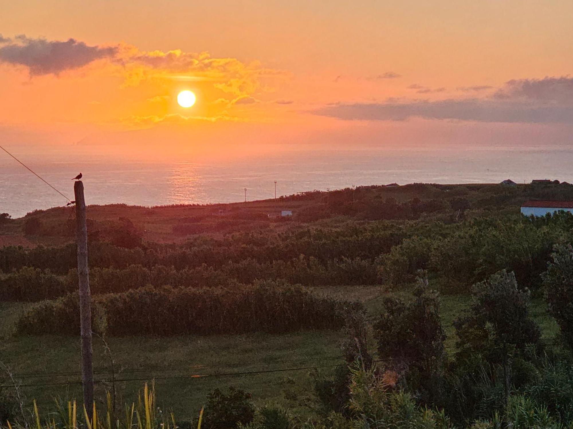 Casa Anjos Holiday Cottages Cedros Luaran gambar