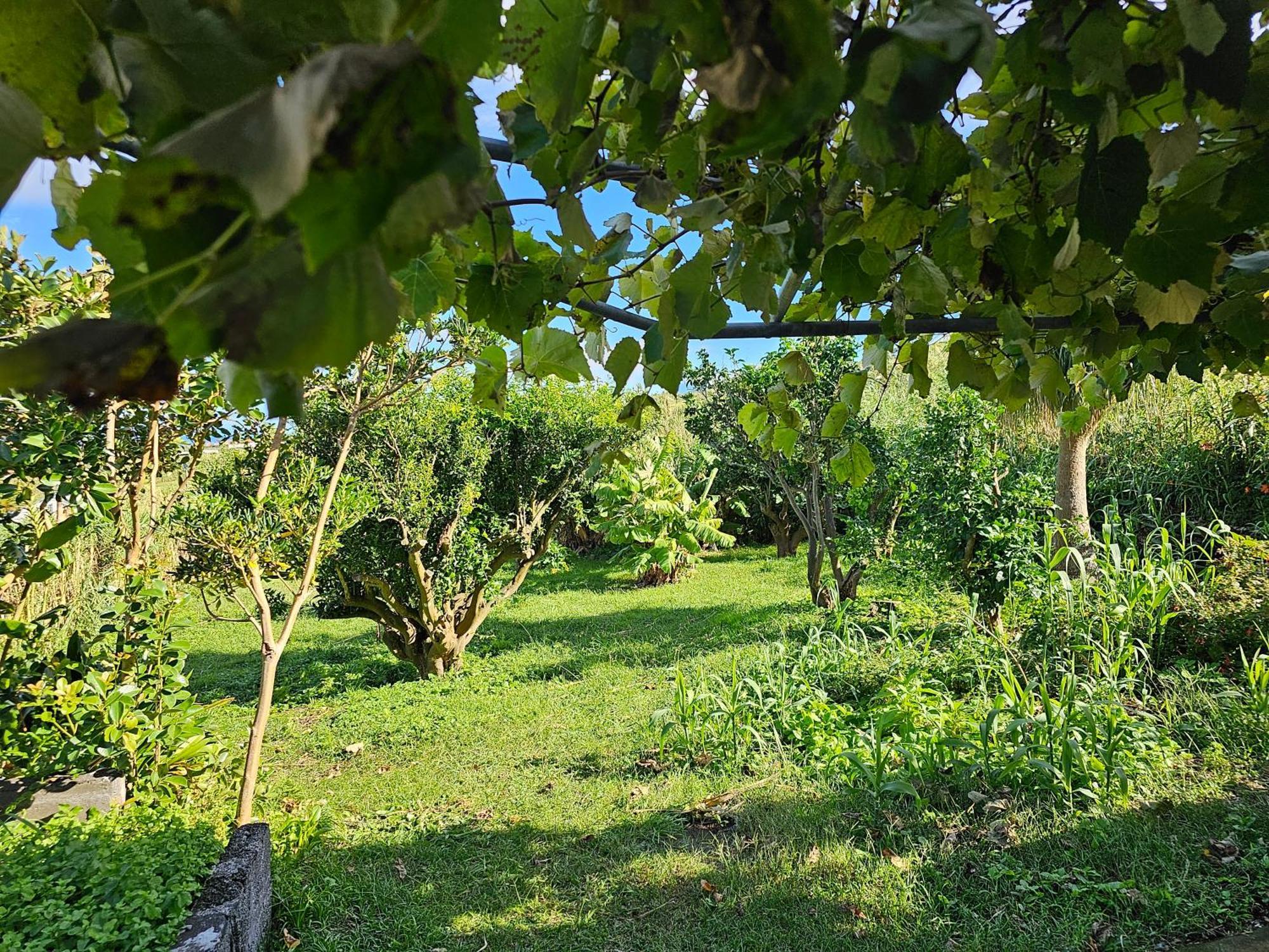 Casa Anjos Holiday Cottages Cedros Luaran gambar