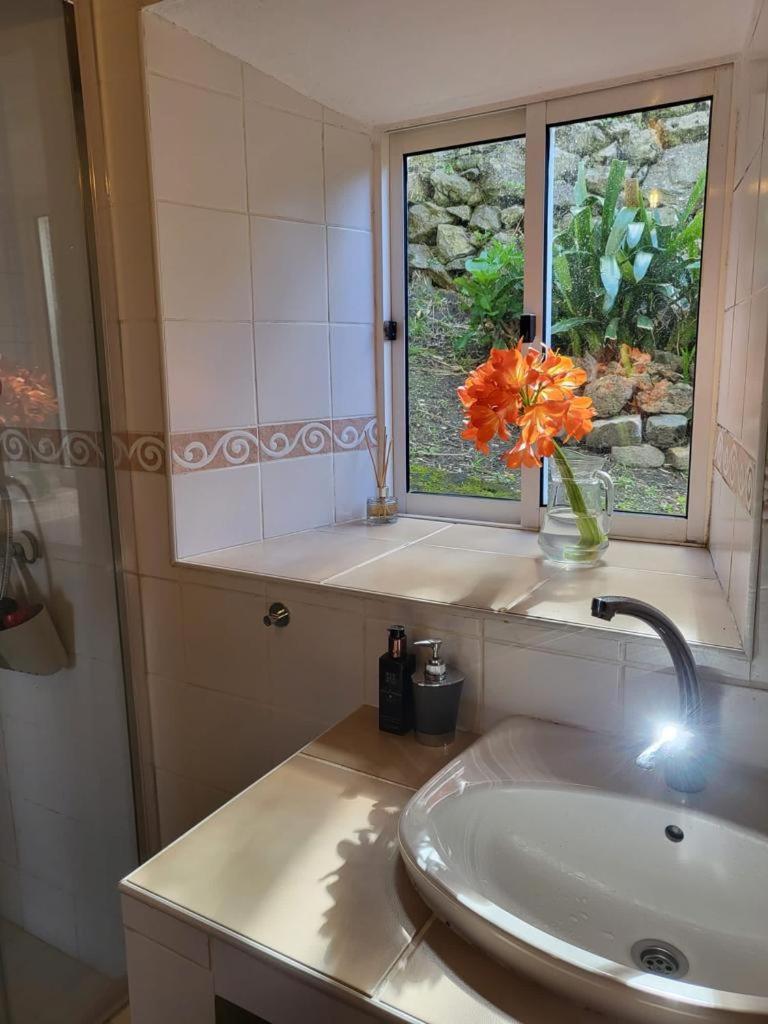 Casa Anjos Holiday Cottages Cedros Luaran gambar