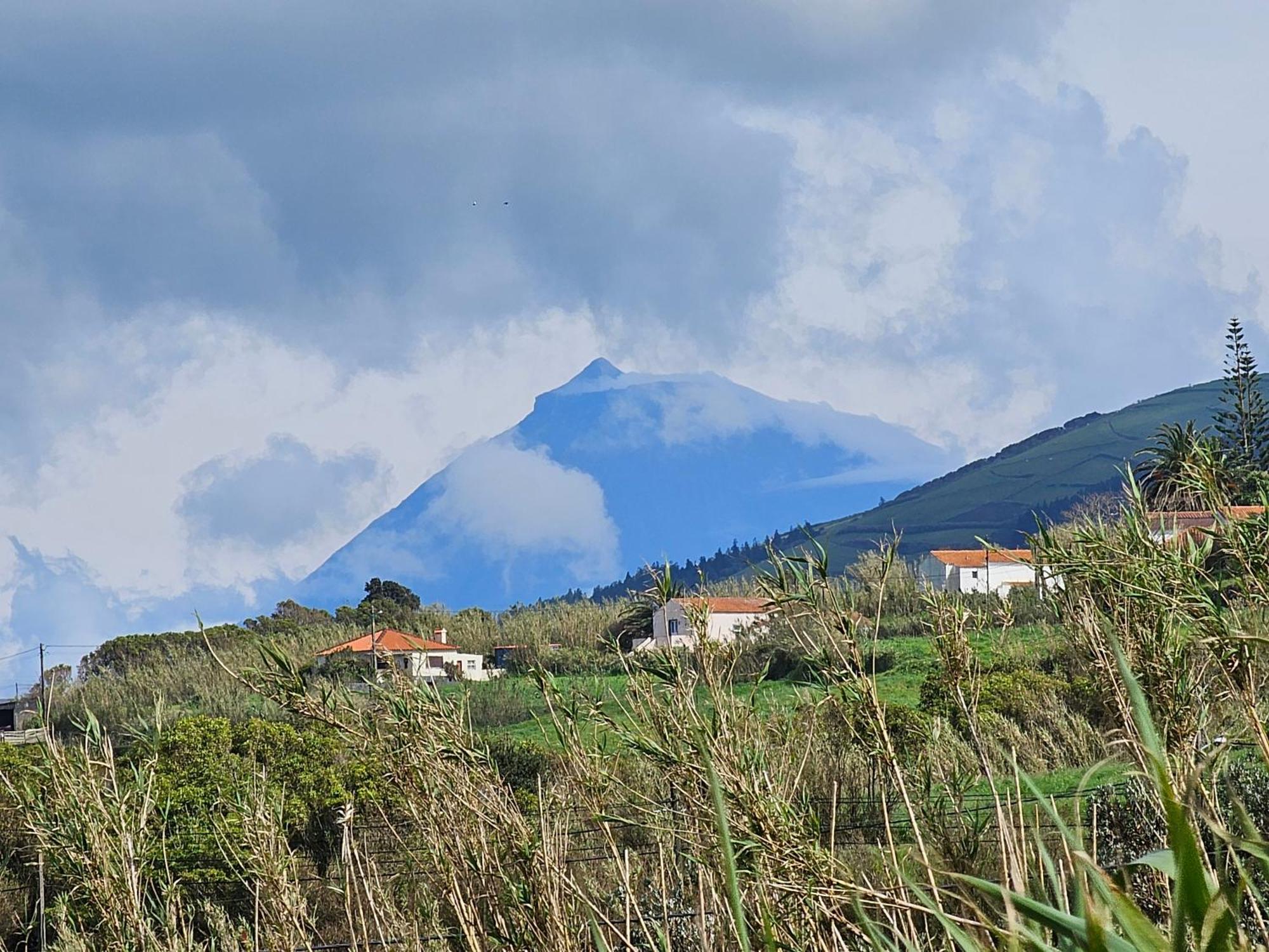 Casa Anjos Holiday Cottages Cedros Luaran gambar